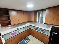 Dover Parkview (D5), Condominium #444841121